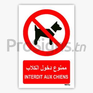 P021mar - Interdit aux chiens ممنوع دخول الكلاب