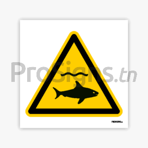 W054 - Danger Requins
