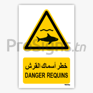 W054mar - Danger Requins خطر أسماك القرش