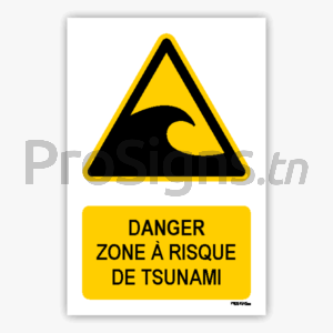 W056m - Danger Zone à risque de tsunami