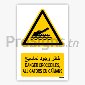 W067mar - Danger Crocodiles, alligators ou caïmans خطر وجود تماسيح