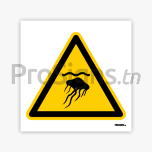 W069 - Danger ; Méduses