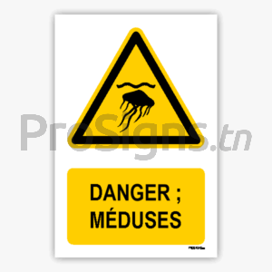 W069m - Danger ; Méduses