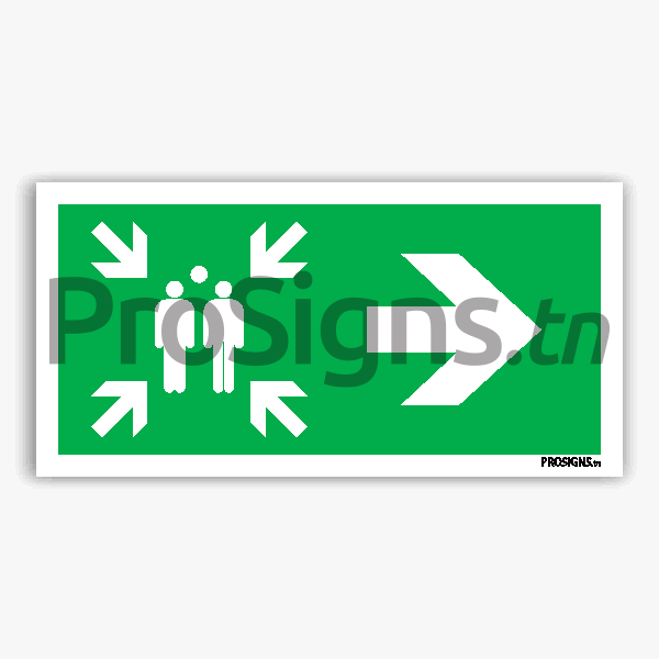 E007/A90 - Point de rassemblement après évacuation - ProSigns