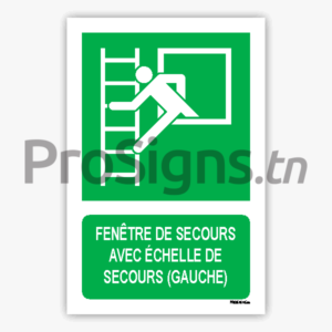 E016Lm - Fenêtre de secours avec échelle de secours (gauche)