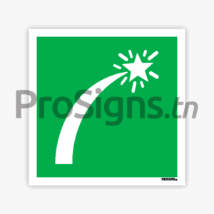 E048 - Signal de détresse sur  embarcation de survie